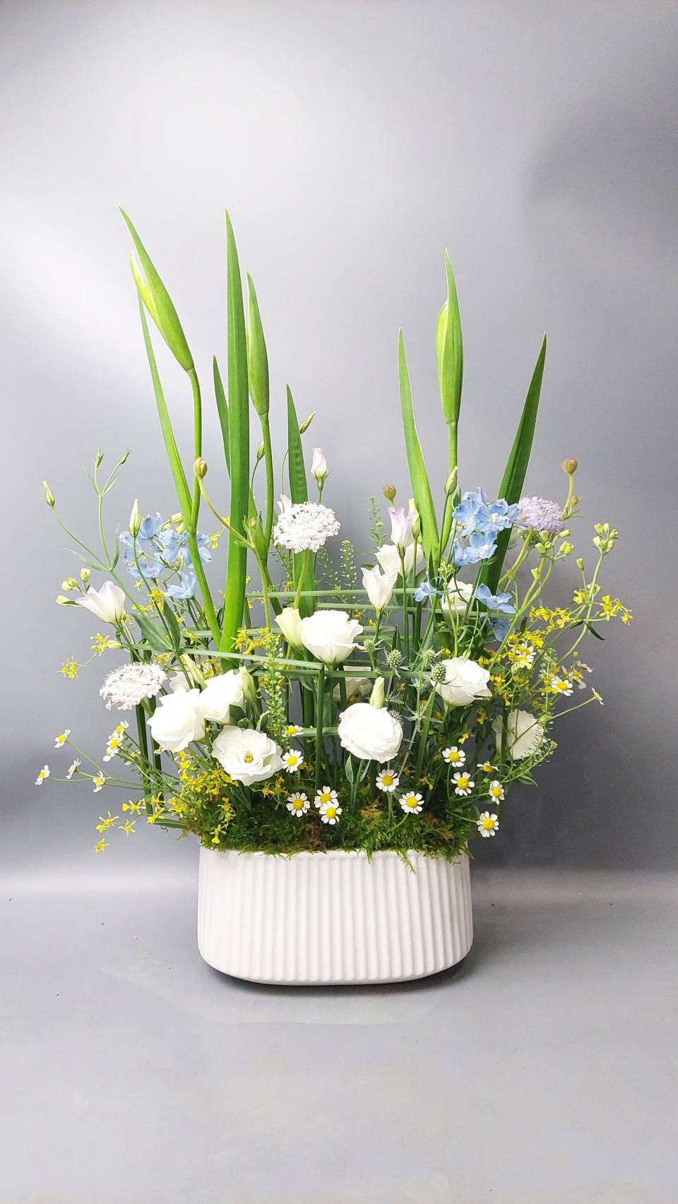 祝賀花禮-實拍圖片