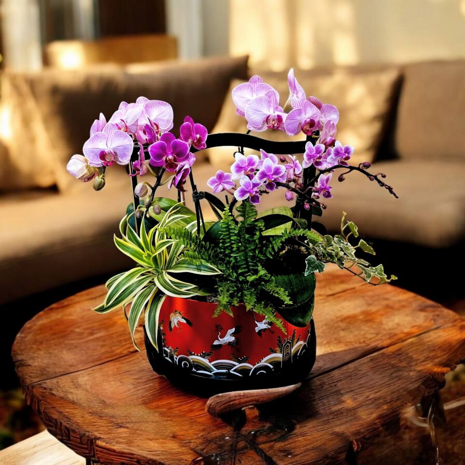 精品蘭花組盆_吉祥大提籃E