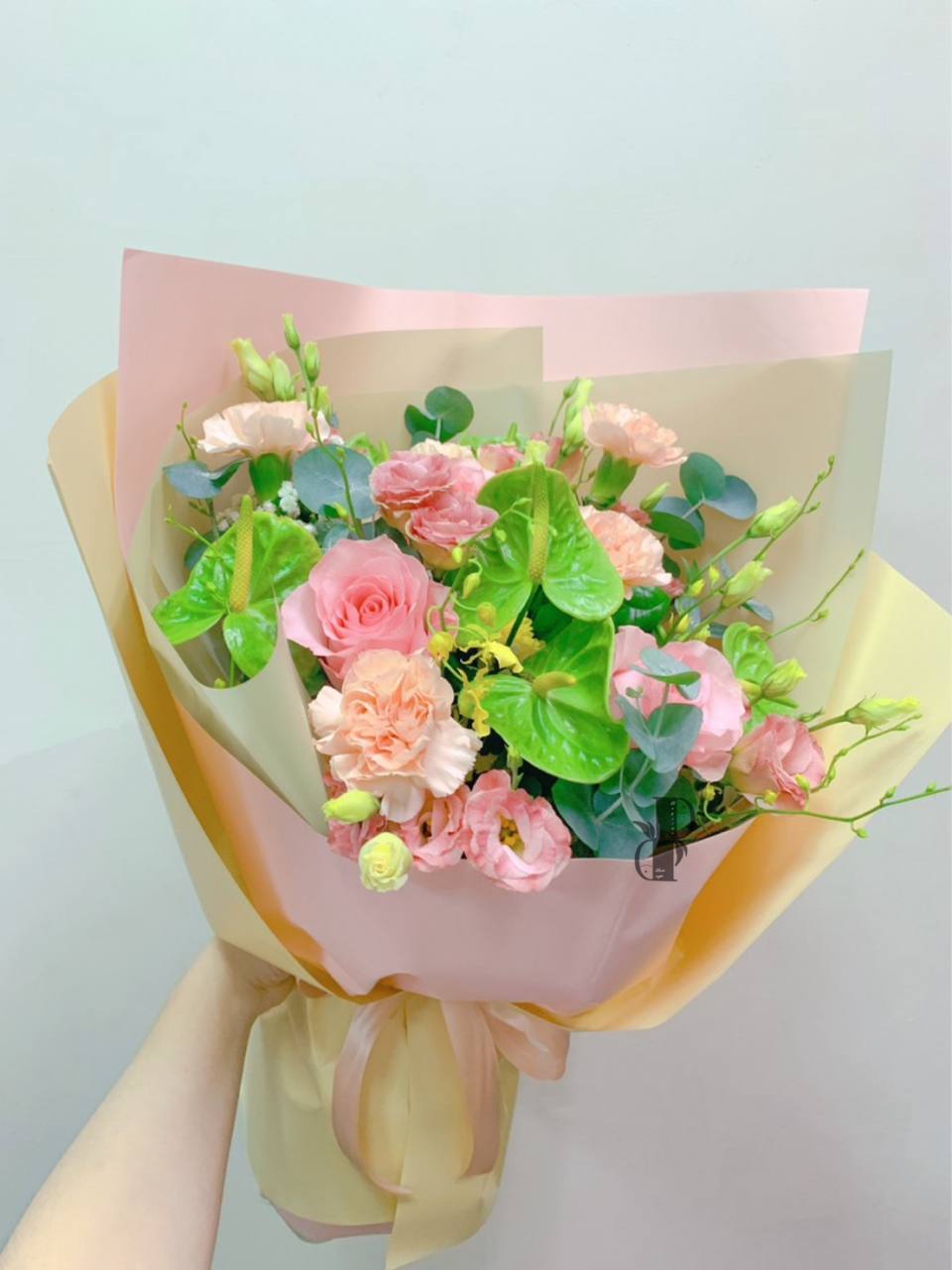 粉粉嫩嫩，圓圓滿滿-實拍圖片