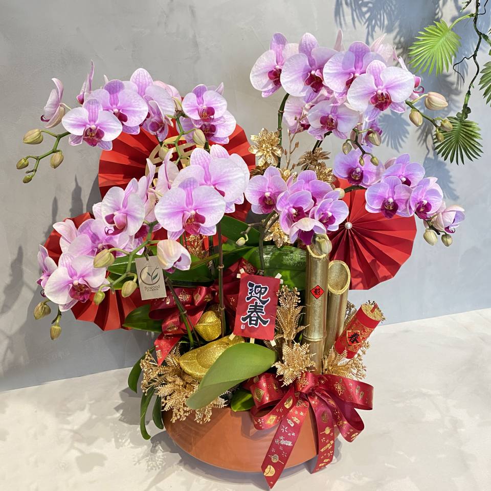 氣宇非凡蘭花盆組 配飾可調整