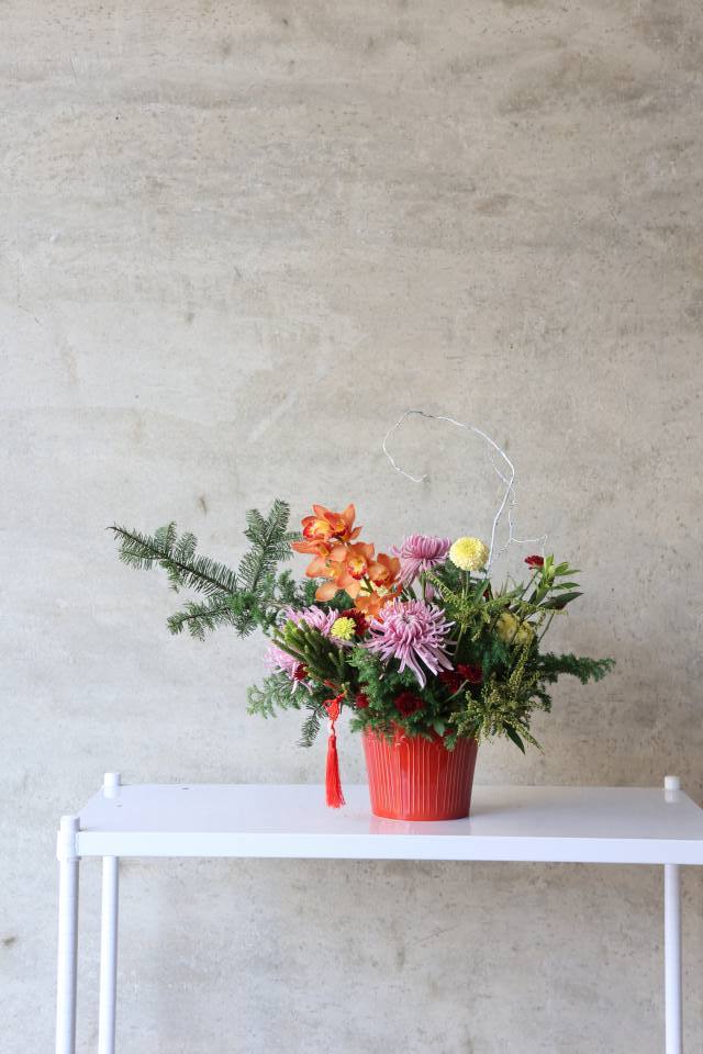 蘼生 2025新春花開富貴盆花-實拍圖片