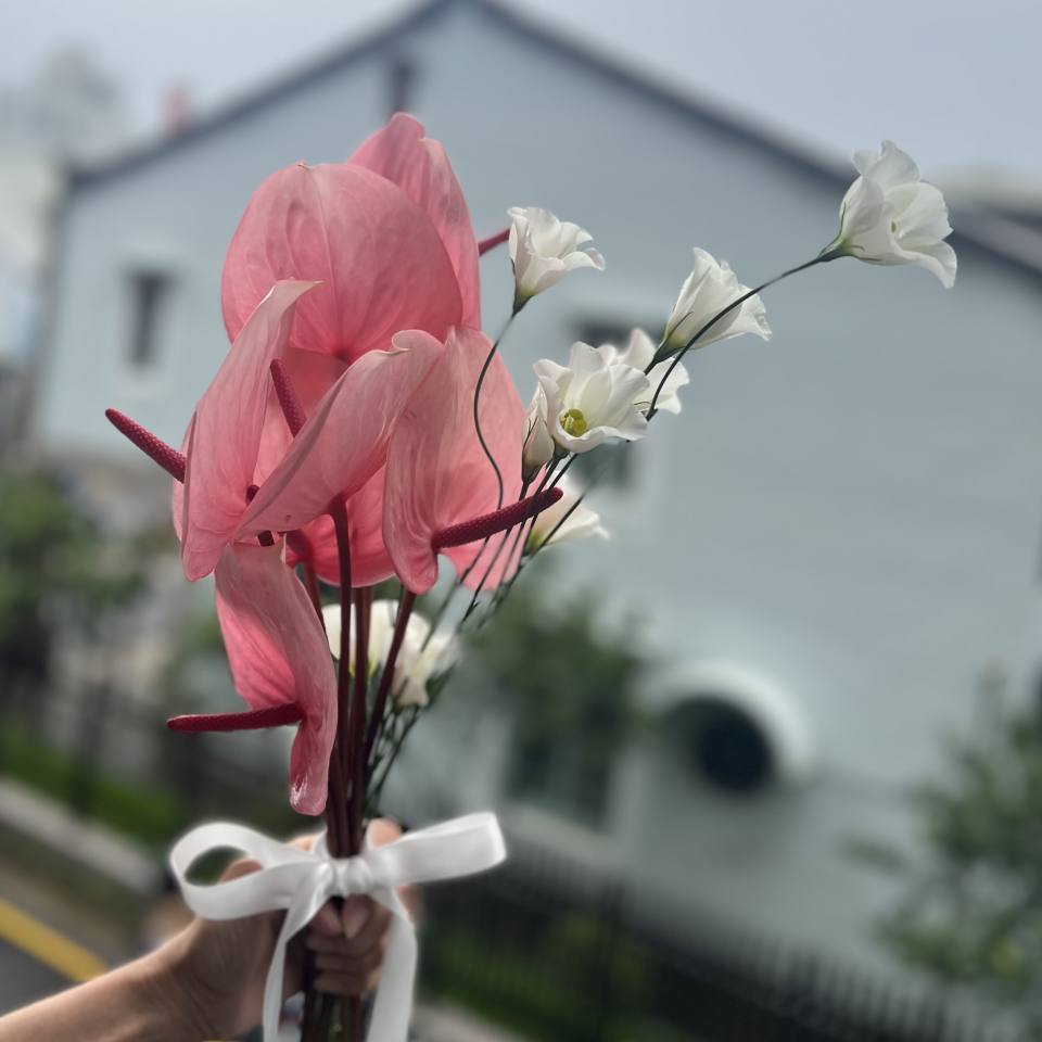 新娘捧花— 火鶴-實拍圖片