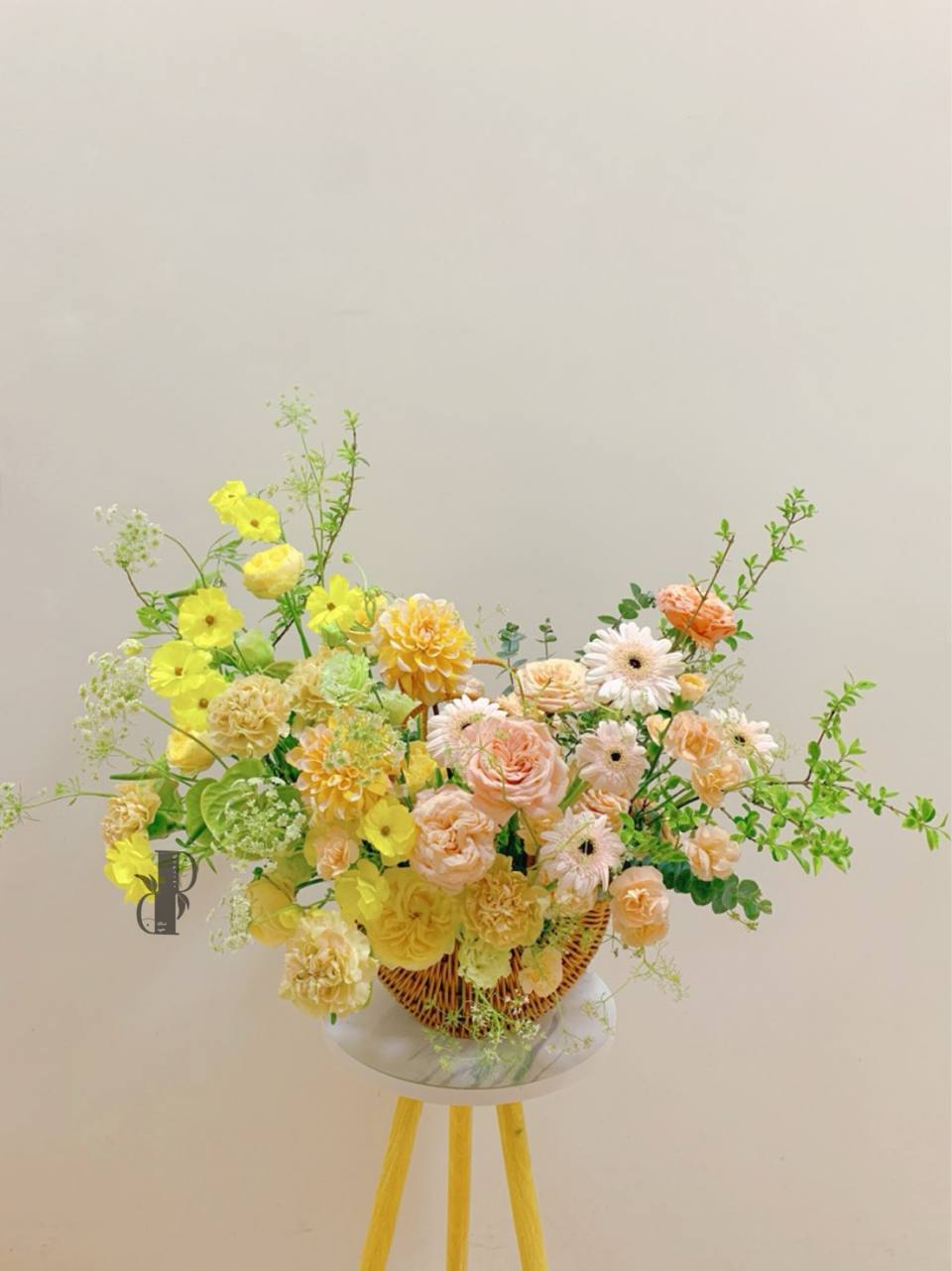 春花盛放-實拍圖片