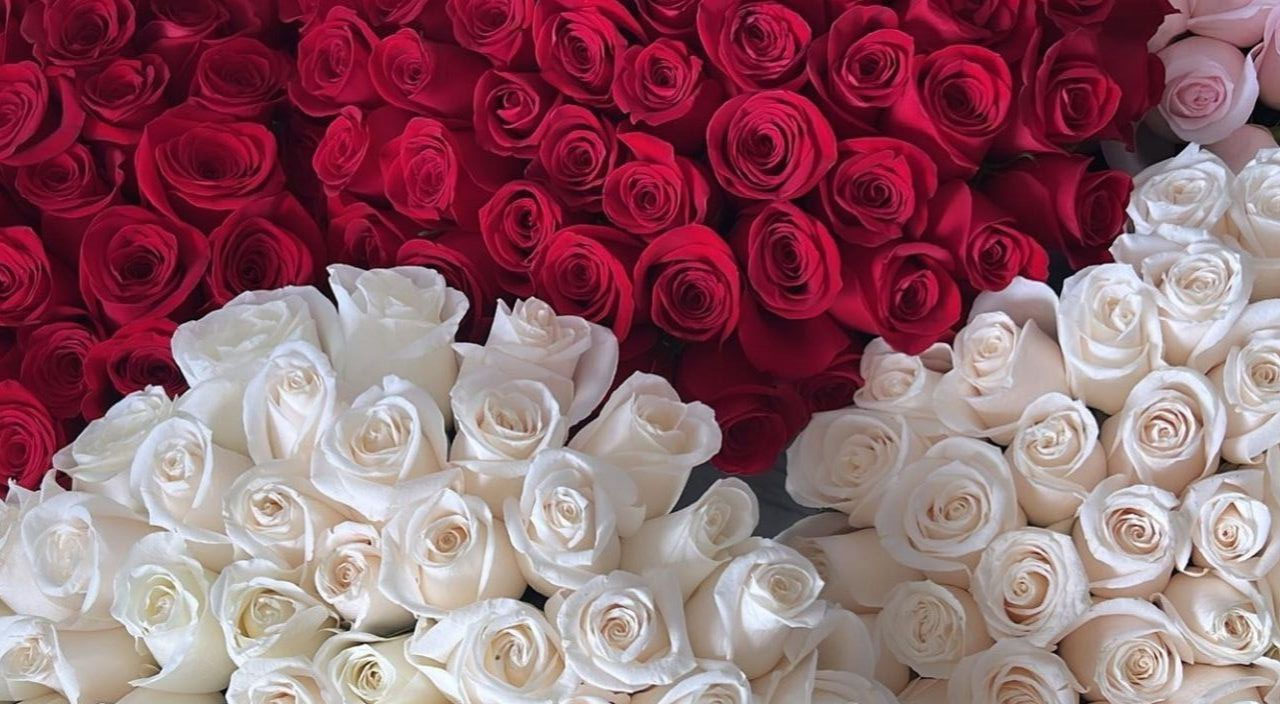 切葉類黃椰心葉花材實拍圖