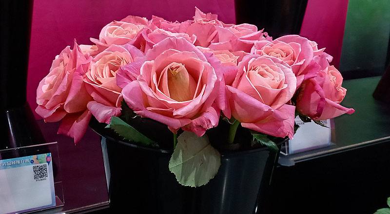 玫瑰卡蜜拉花材實拍圖