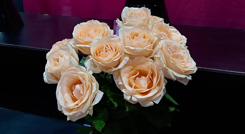 玫瑰翡翠香檳花材實拍圖