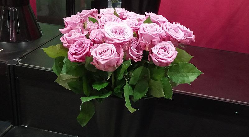 玫瑰天堂紫花材實拍圖