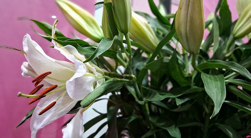 水晶香水 實拍圖片4