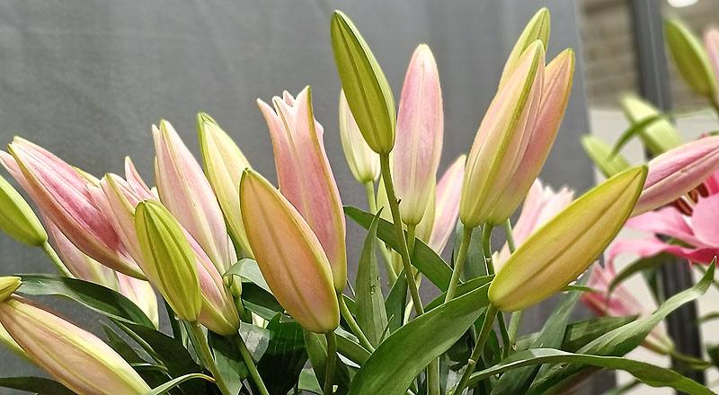 OT大連 實拍圖片9