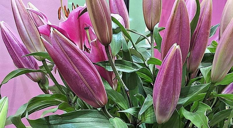 OT大連 實拍圖片3