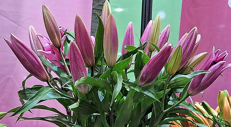 OT大連 實拍圖片1