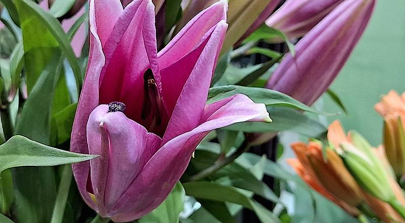 OT大連 實拍圖片4