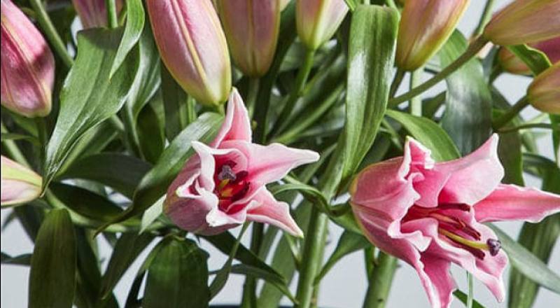 OT大連 實拍圖片6