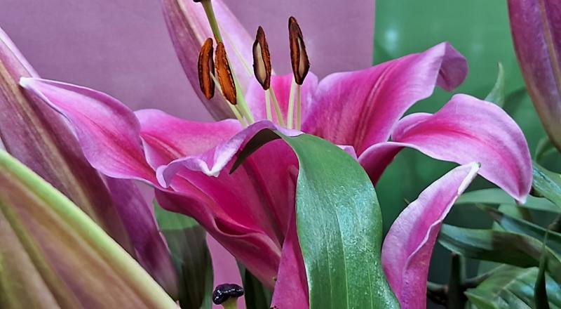 OT大連 實拍圖片5