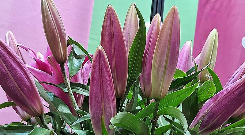 OT大連 實拍圖片2