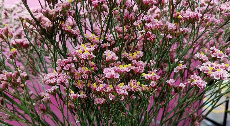 水晶花 粉鑽 實拍圖片2