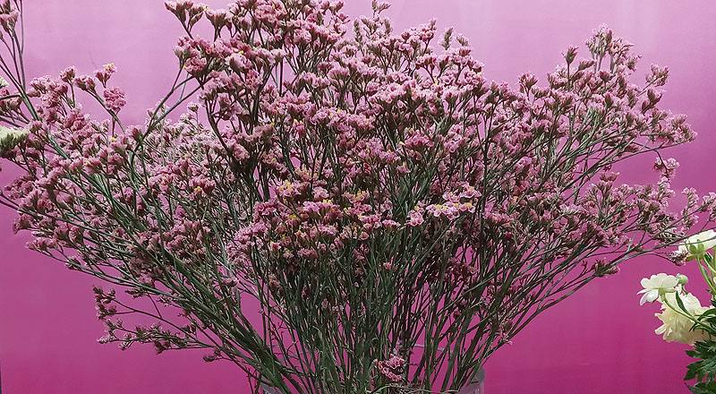 水晶花 粉鑽 實拍圖片1