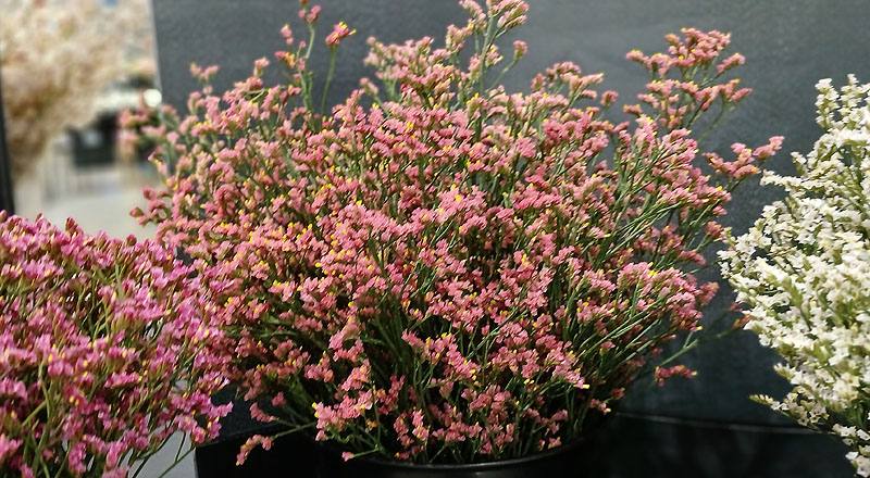 水晶花 粉鑽 實拍圖片5