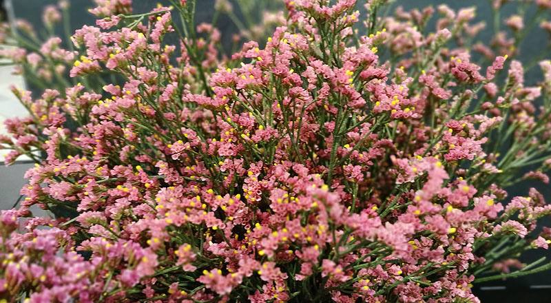 水晶花 粉鑽 實拍圖片7