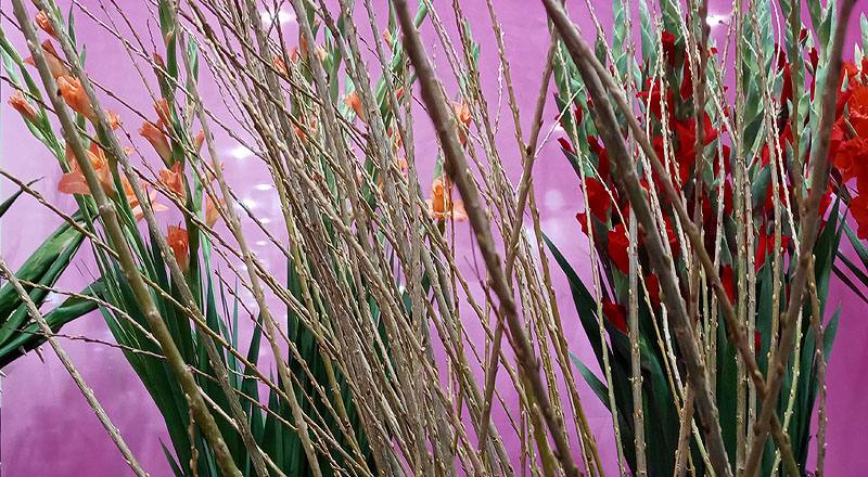 米柳 實拍圖片2