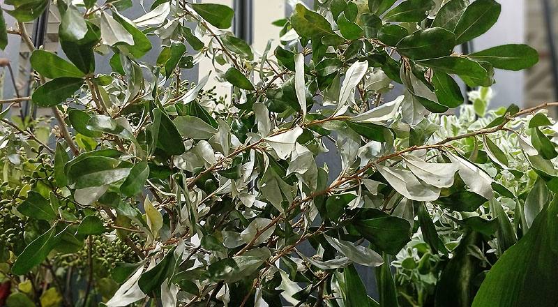 宜梧 實拍圖片2