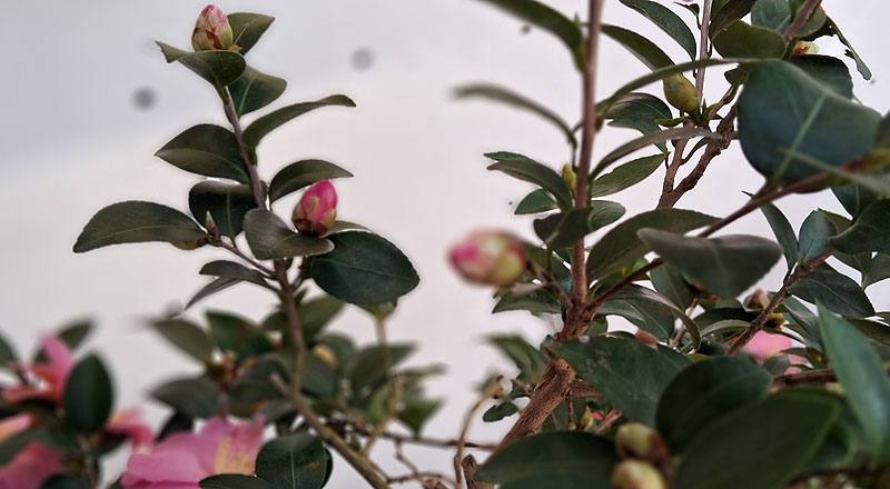 姬光輝 實拍圖片5