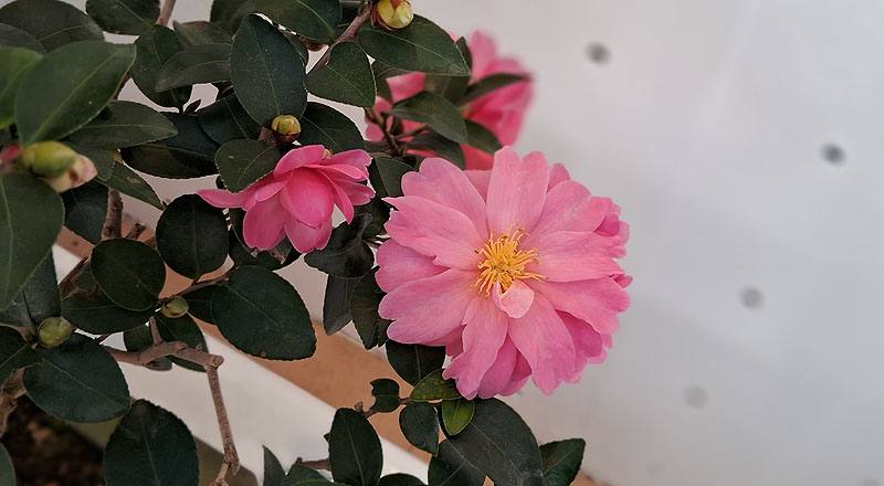 姬光輝 實拍圖片1