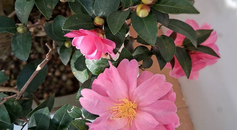 姬光輝 實拍圖片2