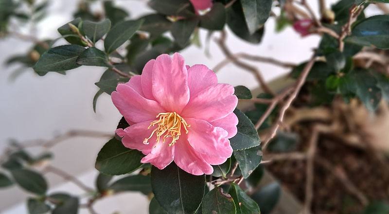 姬光輝 實拍圖片4